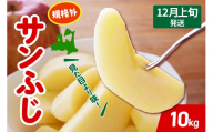 【2025年12月上旬発送】 りんご サンふじ 約 10kg 規格外 程度 青森 五所川原 不揃い サン ふじ りんご規格外