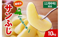 【2025年12月中旬発送】 りんご サンふじ 約 10kg 規格外 程度 青森 五所川原 不揃い サン ふじ りんご規格外
