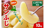【2025年12月下旬発送】 りんご サンふじ 約 10kg 規格外 程度 青森 五所川原 不揃い サン ふじ りんご規格外