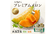 庄内砂丘プレミアムメロン 大玉 青肉メロン 赤肉メロン 各1玉 1.7kg以上 計2玉 3.4kg以上 2026年7月上旬～8月上旬頃お届け 贈り物 お取り寄せ 夏 果物 フルーツ メロン 青 赤 セット 詰合せ 東北 山形県 酒田市 庄内 庄内砂丘 砂丘メロン 農協 JA 直送 化粧箱 JA庄内みどり　SA2812