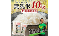 11月中旬配送／≪新米予約≫ 無洗米 ひとめぼれ 令和8年産 10kg 5kg×2袋 米 白米 ご飯 ごはん おにぎり お米 弁当 山形県産 酒田市産  農家直送 庄内 おすすめ 平良農園 山形 酒田 SD0282