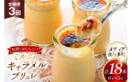 キャラメル ブリュレ プリン 6種×1個 計6個 セット 3回 定期便 総計18個 [心優-Cotoyu Sweets- 長崎県 平戸市 hr42bgy420116] なめらか 生キャラメル パンナコッタ カラメル ご褒美