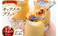 キャラメル ブリュレ プリン プレーン6個と季節の味6種各1個 計12個 [心優-Cotoyu Sweets- 長崎県 平戸市 hr42bgy420244] なめらか 生キャラメル カラメル