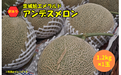 【2027年発送】訳あり メロン 1玉 アンデスメロン 茨城 果物 くだもの フルーツ 果実 メロン めろん 舐瓜 青肉 青肉メロン 1個 舐瓜 国産 めろん メロン 旬 めろん デザート メロン 舐瓜 産地直送 メロン 数量限定 期間限定 めろん 旬 メロン 訳アリ 舐瓜 わけあり めろん 家庭用 めろん 舐瓜 ふるさと納税メロン メロン めろん 舐瓜 茨城 鉾田 ほこたメロン 長洲農園 2358231 - 茨城県鉾田市