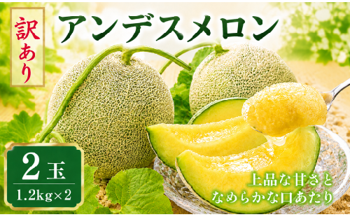 【2027年発送】 メロン 訳あり 2玉 アンデスメロン 茨城 果物 くだもの フルーツ 果実 メロン めろん 舐瓜 青肉 青肉メロン 2個 舐瓜 国産 めろん メロン 旬 めろん デザート メロン 舐瓜 産地直送 メロン 数量限定 期間限定 めろん 旬 メロン 訳アリ 舐瓜 わけあり めろん 家庭用 めろん 舐瓜 ふるさと納税メロン メロン めろん 舐瓜 茨城 鉾田 ほこたメロン 長洲農園 2358232 - 茨城県鉾田市