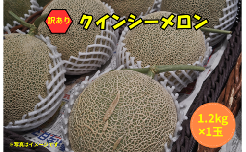 【2027年発送】  訳あり メロン 1玉 クインシーメロン 茨城 果物 メロン めろん 舐瓜 めろん くだもの フルーツ 果実  赤肉 赤肉メロン 舐瓜 1個 国産 めろん メロン meron melon メロン デザート めろん 産地直送 メロン 数量限定 舐瓜 期間限定 舐瓜 メロン わけあり めろん 舐瓜 家庭用 ふるさと納税メロン メロン めろん 舐瓜 茨城 鉾田 ほこたメロン 長洲農園 2358234 - 茨城県鉾田市