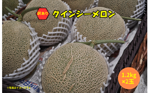 【2027年発送】 訳ありメロン 2玉 クインシーメロン 茨城 果物 メロン めろん 舐瓜 めろん くだもの フルーツ 果実 赤肉 赤肉メロン 舐瓜 2個 国産 めろん メロン meron melon メロン デザート めろん 産地直送 メロン 数量限定 舐瓜 期間限定 舐瓜 メロン わけあり めろん 舐瓜 家庭用 ふるさと納税メロン メロン めろん 舐瓜 茨城 鉾田 ほこたメロン 長洲農園 2358235 - 茨城県鉾田市