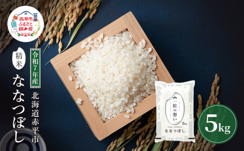 令和7年産 北海道 赤平産 ななつぼし 5kg 白米 精米 米 北海道 ごはん ご飯 ライス おにぎり 2358565 - 北海道赤平市