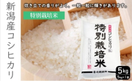 特別栽培米新潟産コシヒカリ5kg 米 お米 こめ コメ ごはん 新潟 白米 コシヒカリ ブランド米 銘柄米 お取り寄せ 産地直送