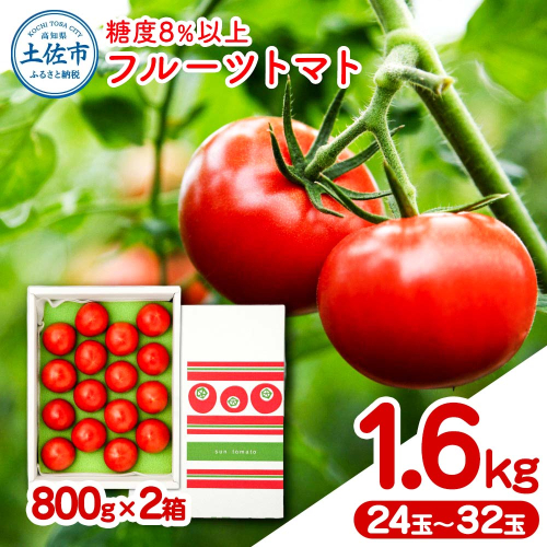 フルーツトマト 約1.6kg(約800g×2) 24～32玉入り 糖度 8度以上 フルーツトマト ふるーつとまと とまと トマト 甘い 濃厚 美味しい 箱入り 野菜 料理 サラダ お取り寄せグルメ 高知県産 2358768 - 高知県土佐市