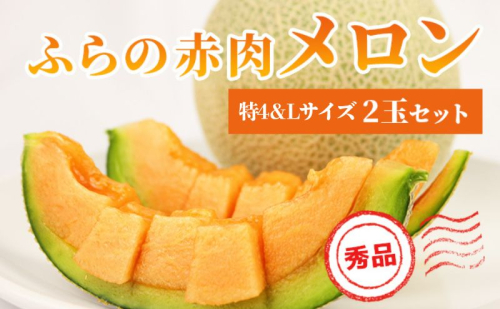 【 2026年発送 先行予約 】 ふらの 赤肉メロン 特4 2kg～2.6kg Lサイズ 1.6kg～1.9kg 各1玉(計2玉) 厳選 秀品 特4サイズ セット めろん フルーツ デザート くだもの 旬の果物 旬のフルーツ ファーム富良野 北海道 2358811 - 北海道上富良野町