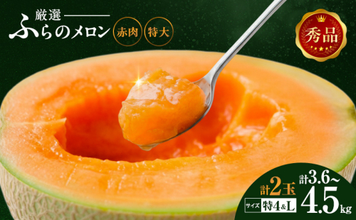 【令和8年産】ふらの 赤肉メロン 特4 2kg～2.6kg Lサイズ 1.6kg～1.9kg 各1玉(計2玉) 厳選 秀品 特4サイズ セット めろん フルーツ デザート くだもの 旬の果物 旬のフルーツ ファーム富良野 北海道 2358811 - 北海道上富良野町