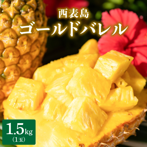 高級感No.1！開発に30年・栽培に3年。パイナップルの最高峰ゴールドバレル1.5kg(1玉) 2358869 - 沖縄県竹富町