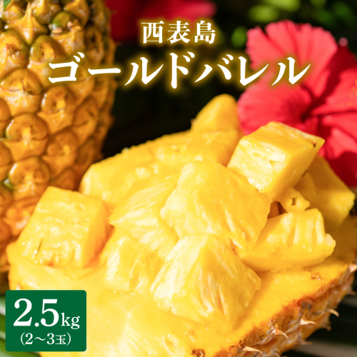 高級感No.1！開発に30年・栽培に3年。パイナップルの最高峰ゴールドバレル2.5kg(2〜3玉) 2358870 - 沖縄県竹富町