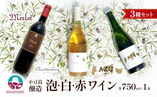 島醸造 3種セット【泡・白・赤ワイン】 小豆島醸造 日本ワイン お酒 酒 ワイン 赤ワイン 白ワイン スパークリングワイン 熟成 贈り物 ギフト 国産 香川 香川県 土庄 土庄町 2358871 - 香川県土庄町