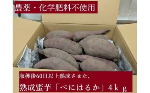 農薬・化学肥料不使用　温室効果ガス削減に貢献しながら、のどかな畑で大切に育てた　熟成　蜜芋　サツマイモ（紅はるか）４ｋｇ　S～LLサイズ混合  TFN-01 2358896 - 三重県多気町