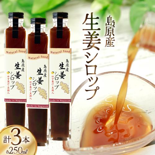 AJ309 生姜シロップ 瓶 250ml 3本 [ 生姜 シロップ しょうが しょうがシロップ ジンジャエール 素 生姜焼き 長崎県 島原市] 2359080 - 長崎県島原市