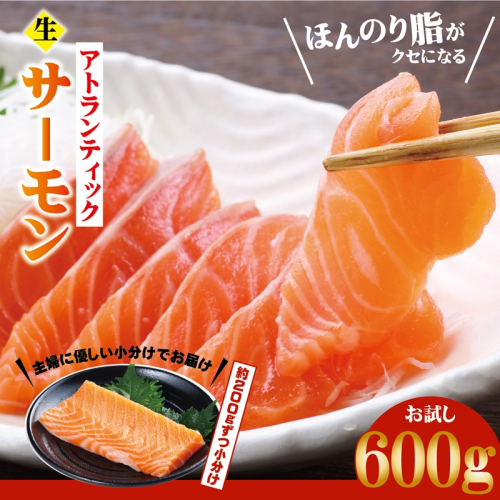 アトランティックサーモン  お試し 600g【生食可 小分け 200g×3P 柵切り 刺身 魚介 海鮮】 G3544 2359082 - 大阪府泉佐野市