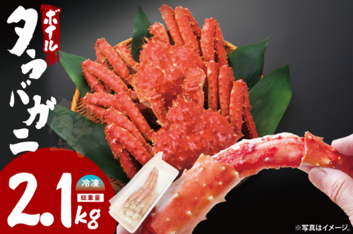 ボイルたらばがに シュリンクパック 総重量2.1ｋｇ（内容量1.9ｋｇ） タラバガニ タラバ蟹 たらば かに ボイル シュリンク かに鍋 蟹鍋 かにしゃぶ 蟹しゃぶ 2359150 - 茨城県大洗町