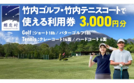 竹内ゴルフ ・ 竹内テニスコート で使える利用券 3000円分 北軽井沢 テニス テニスコート ショートゴルフ パターゴルフ ゴルフ ファミリー 観光 スポーツ 嬬恋高原 健康 チケット [AD004tu]
