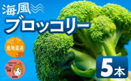≪先行予約≫ブロッコリー 5本 豊橋 国産 ミネラルたっぷり 海風そだち 潮風 家族で 大容量 豊橋 ともちゃんのやさい 直売所で大人気！ 愛知県 豊橋市 安心野菜