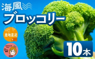 ≪先行予約≫ブロッコリー 10本 豊橋 国産 ミネラルたっぷり 海風そだち 潮風 家族で 大容量 豊橋 ともちゃんのやさい 直売所で大人気！ 愛知県 豊橋市 安心野菜