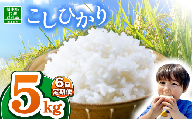 【栃木県共通返礼品】【令和7年度産】栃木県産コシヒカリ 30kg |定期便 選べる ふるさと 納税 コシヒカリ お米 精米 白米 玄米 大粒 共通返礼品 送料無料 那珂川町 栃木県
