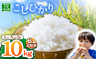 【栃木県共通返礼品】【令和7年度産】栃木県産コシヒカリ 60kg |定期便 選べる ふるさと 納税 コシヒカリ お米 精米 白米 玄米 大粒 共通返礼品 送料無料 那珂川町 栃木県
