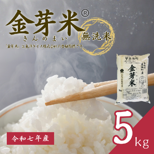 【 金芽米 】愛知県 美浜町産 にじのきらめき 5kg 無洗米｜きんめまい 米 お米 美浜町 糖質オフ BG無洗米 新米※北海道・沖縄・離島への配送不可 2359500 - 愛知県美浜町