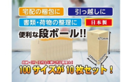 100サイズ 段ボール 10枚 縦型