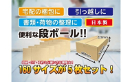 160サイズ 段ボール 5枚 横長