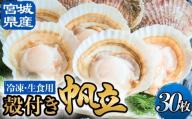 【冷凍・生食用】 殻付き帆立 30枚 帆立 ホタテ ほたて 殻付き 生食 生食用 肉厚