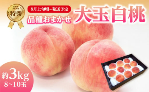 《先行受付》品種おまかせ 大玉白桃 約3kg【特秀】 （8～10玉）【2026年8月上旬頃～9月中旬発送予定】 【001-100】 2359669 - 山形県大江町