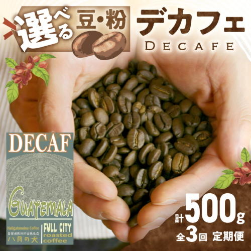 【定期便全3回】【デカフェ】自家焙煎　グアテマラ カフェインレスコーヒー豆 500g（250g×2）　2カ月に１回×3回お届け 八月の犬　珈琲豆　ドリップ　マタニティー
 2359709 - 京都府京丹後市