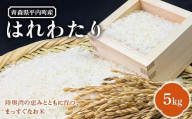 青森県 平内町産 お米 はれわたり 5kg 白米 米 おこめ コメ 精米 東北 F21J-287