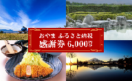 おやま ふるさと納税 感謝券 6,000円分（1,000円券×6枚）【 感謝券 チケット 利用券 静岡県 小山町 買い物 食事 宿泊 】E16