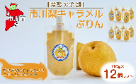【芳醇の余韻】市川梨キャラメルぷりん12個セット　【12203-0339】