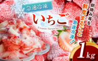 冷凍いちご ( とちあいか ) 1kg | とちあいか いちご イチゴ 朝摘み 冷凍 ジャム カクテル スムージー フルーツ 苺 新鮮 ふるさと納税 日本一 栃木県 真岡市 送料無料 6000円