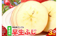 [26年10月発送]りんご[一足早くふじの味・早生ふじ]早生ふじ[家庭用]約3kg 先行受付 青森県 弘前市 果物 フルーツ 林檎 リンゴ くだもの 不揃い 規格外 [先行予約 産地直送 アップル おいしい 果実 美味 甘い 赤色]