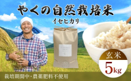 令和7年産 やくの自然栽培米 イセヒカリ 5kg 玄米 / 自然栽培米 自然栽培 こめ コメ 米 玄米 イセヒカリ いせひかり お米 ごはん やくの 夜久野 京都府 福知山市