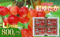 [令和8年産先行予約] さくらんぼ 紅ゆたか フードパック Lサイズ 800g(200g×4P) 山形県鶴岡産 鈴木さくらんぼ園