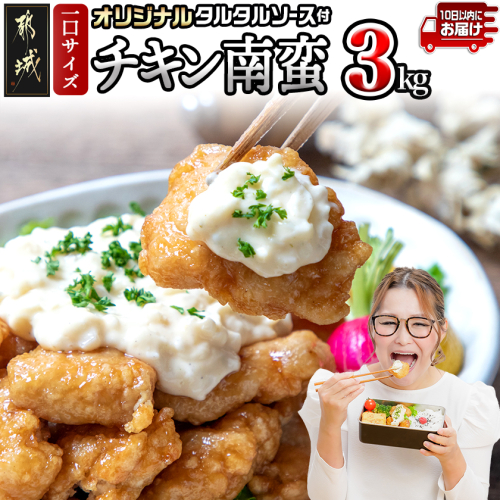 宮崎県産鶏チキン南蛮3.0kgセット≪みやこんじょ特急便≫_17-1508-Q 2360795 - 宮崎県都城市