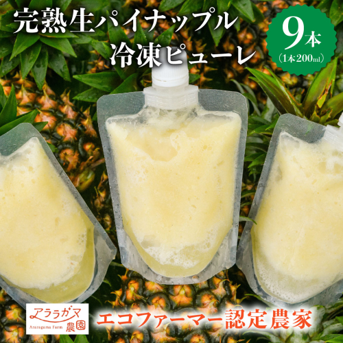 水なし、加熱なし、砂糖なし！天然まるごと！完熟生パイナップル冷凍ピューレ200ml×9本セット 2361134 - 沖縄県竹富町