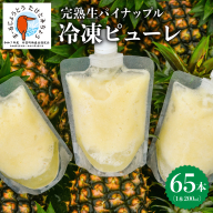 水なし、加熱なし、砂糖なし！天然まるごと！完熟生パイナップル冷凍ピューレ200ml×65本セット