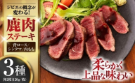 【12月上旬以降順次発送】鹿肉 ステーキ 3種セット ( 背ロース・シンタマ・内もも 各2枚 )《喜茂別町》【EBIJIN】 ジビエ 鹿 モモ セット 詰め合わせ ステーキ 赤身 冷凍配送 北海道 [AJAO005] 44000 44000円