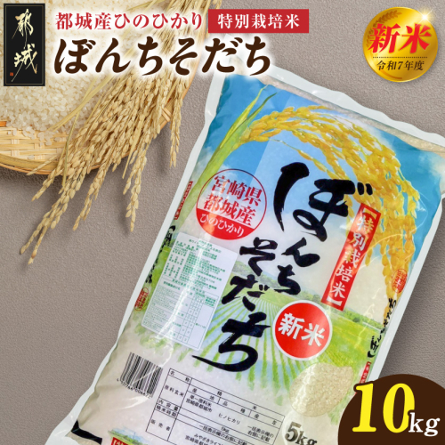 都城産ひのひかり特別栽培米「ぼんちそだち」10kg(5kg×2袋)_31-N501 2361525 - 宮崎県都城市