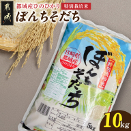 都城産ひのひかり特別栽培米「ぼんちそだち」10kg(5kg×2袋)_28-N501