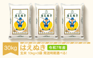 新米 米 30kg 10kg×3 はえぬき 玄米 令和7年産 2026年1月下旬 mk-haxxa30-g1c