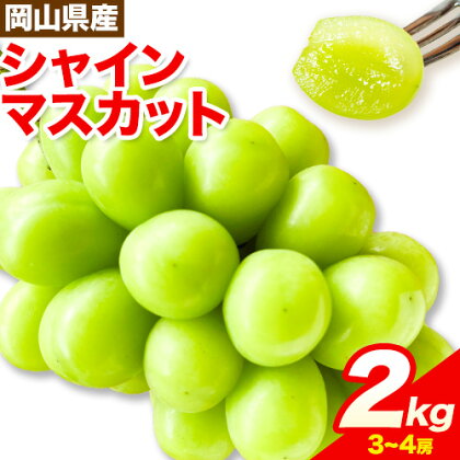 【2026年先行予約】シャインマスカット 岡山県産 2kg 3房 ～ 4房《2026年9月上旬-9月中旬頃出荷》ひらた農園 マスカット 送料無料 岡山県 浅口市 シャインマスカット ぶどう フルーツ 果物 贈り物 ギフト 国産 くだもの 果物 青果物 2361841 - 岡山県浅口市