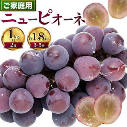 【2026年先行予約】ぶどう ニューピオーネ ご家庭用 1kg 以上 または 約 1.8kg 2房 ～ 5房《2026年8月上旬-9月中旬頃出荷》株式会社fruceed ぶどう 送料無料 岡山県 浅口市 ぶどう フルーツ 果物 くだもの ピオーネ 家庭用 2361843 - 岡山県浅口市